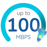 Network Speed Indicator